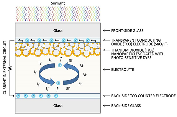 schematic showing the movement of electrons in the DSSC photovoltaic process