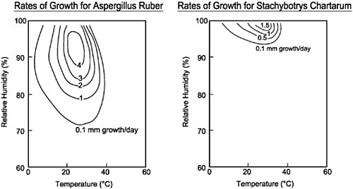 Rates of growth for Aspergillus and Stachybotrys