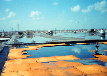 Roof covering damage, a portion of the built-up membrane lifted and peeled after the metal edge flashing lifted