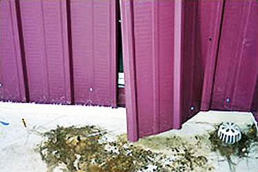 Parapet sheathed with metal wall panels at an inadequate distance to resist the wind load