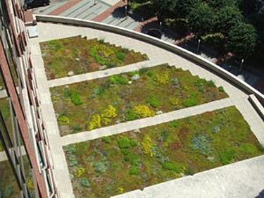 Example of a vegetative roof at the Four Seasons Hotel, Boston, MA